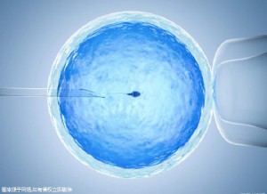 陈主任